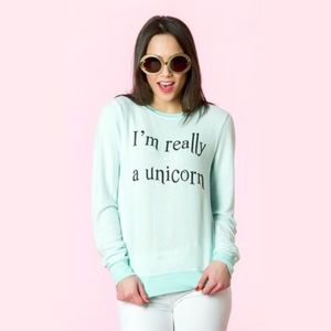 Wildfox "I'm Really A Unicorn" Baggy Beach Jumper